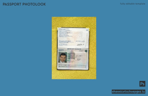 Beispielansicht für ein französisches Passfoto